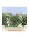 Garden Arch from Metallic in Gold Colour 49.5x49.5x150cm
