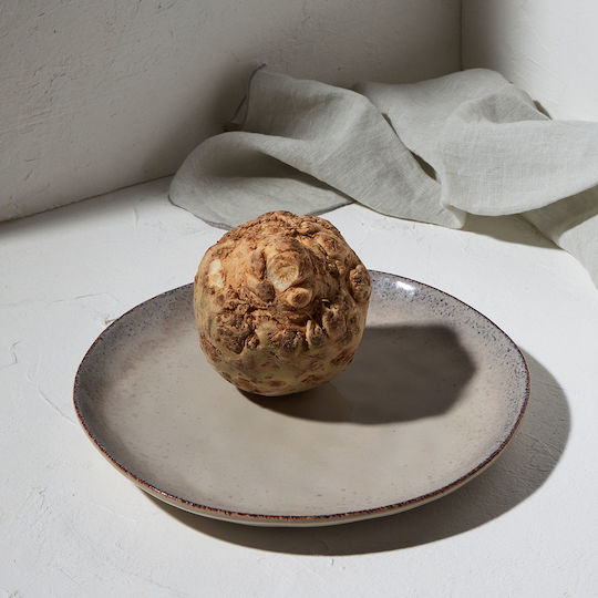 Estia Vignette Stoneware Чиния Плитко Керамика Сив с Диаметър 27см
