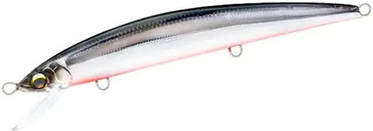 Duel Aile Magnet Tg Minnow Slim Floating 145mm F1258 Hbse