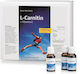 Kräuterhaus Sanct Bernhard L-Carnitine 1000 + Vitamin C 30 x 0ml