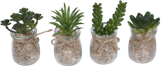 Set 4 Bucăți Cactus În Vas De Sticlă