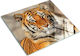 Glas-Schneidebrett Mit Druck BengaLischer Tiger 60x52 Cm