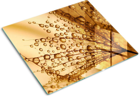 Protective Kitchen Counter Plate Safety Tempered Glass Odorous 60x52 Cm