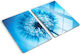 Glas Schneidebrett Küchenarbeitsplatte Dekorative Schutzplatte Taraxacum 2x40x52 cm
