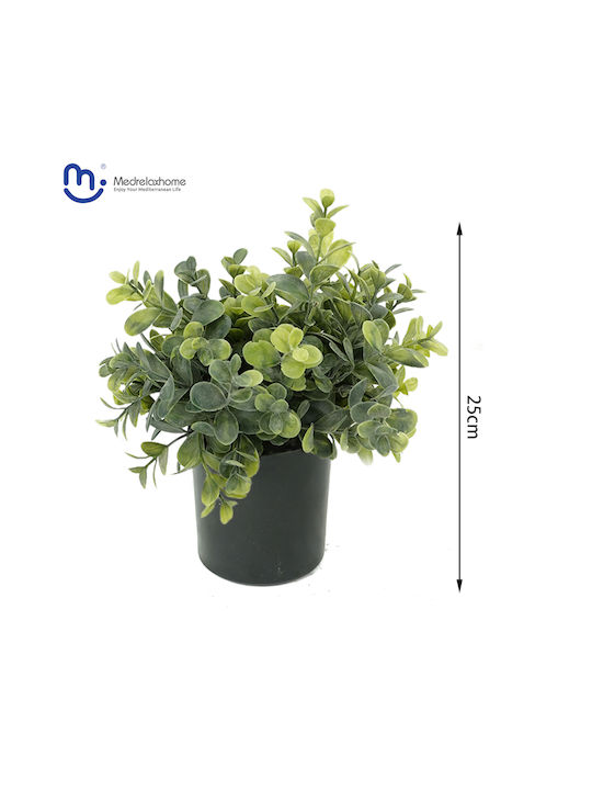 Plantă Artificială Decorativă Eucaliptus Înălțime 25cm 1 Bucată