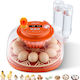Vevor Automatic Egg Incubator 12 Eggs