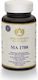 Maharishi Ayurveda Ma 1788 Respiratory & Immunity Tonic 60 Tablets Respiratory Health & Immune System