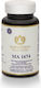 Maharishi Ayurveda Ma 1674 Nervous System Support 120 Tablets Υποστήριξη Του Νευρικού Συστήματος