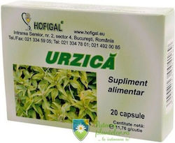 Urzică 20 Capsule Urzică 20 Capsule