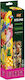 Vitamine Snack Stick Für Große Papageien Vitaline Fruits