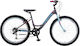 Polar 24" Bicicletă pentru copii de Oras (2025) Gri