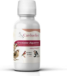 Avianvet Carduelis Encelador Jilgueros – Stimulant Pentru Dispoziția Reproductivă – 100ml Avianvet Carduelis Encelador Jilgueros – Stimulant Pentru Dispoziția Reproductivă – 100ml