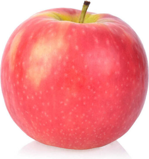 Δέντρο Μηλο Pink Delicious Νανο Εμβολιασμενο Μ9 Υποκειμενο