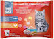 Wise Cat Wet Food for Adult Cats in Pouches with Fish, Chicken and Meat 4x100gr