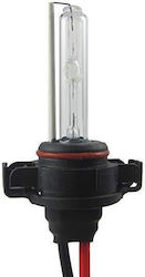 Electric Life Lamp H16 Xenon White Electric Life Lamp H16 Xenon White