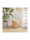 vidaXL Waste Bin Waste Plastic Brown 25x25x28.5cm 2pcs