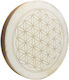 Sonic Energy Flower Life Wave Drum Bendir