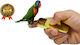 Caitec Parrot Feeder