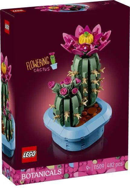 LEGO Botanical Collection Flowering Cactus για 9+ Ετών 482τμχ