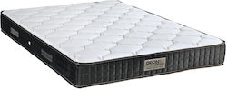 Orion Strom 7008 Filoxenia Best Alpha Orion Strom 7008 Filoxenia Best Alpha