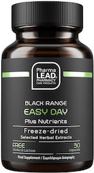 Pharmalead Easy Day Plus 30 κάψουλες Elderberry Pharmalead Easy Day Plus 30 κάψουλες Elderberry