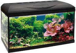 Amtra Aquarium 25lt Amtra Aquarium 25lt