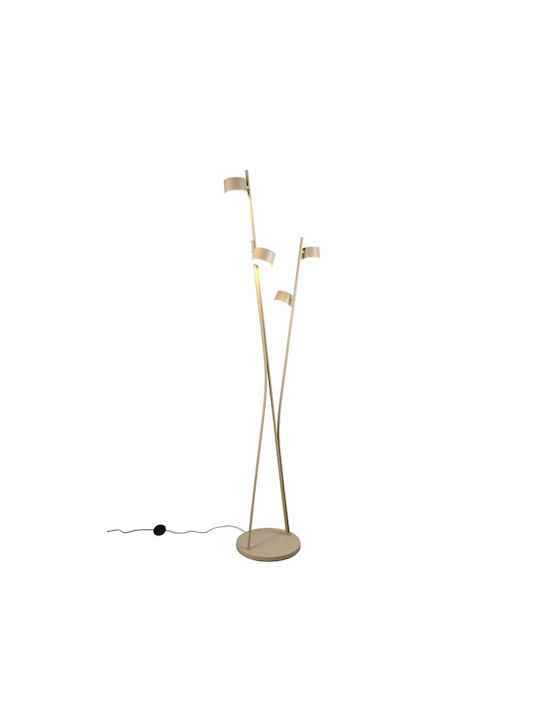 Trio Lighting Floor Lamp H180xW53cm. with Socket for Bulb GX53 Beige