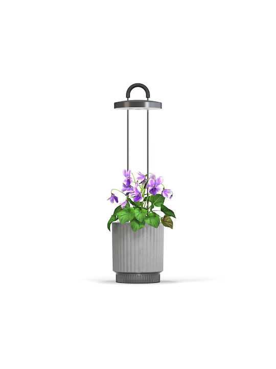 Click Grow Hidrovază Gri Pentru Casă Bucătărie