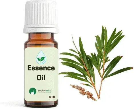 Sueño Aroma Ätherisches Öl Teebaum 12ml