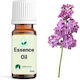 Sueño Aroma Αιθέριο Έλαιο Πασχαλιά 12ml