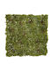 Iliadis Artificial Foliage Panel 50x50cm