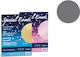 Favini Series Se 5 Envelopes 120g/m2 + 5 Cards 250g/m2 Silver 03 9x14 C9