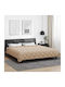vidaXL Плик за Завивка Кинг Сайз 220x260 Taupe