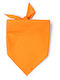 Women's Scarf Orange