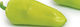 Syngenta Семена Чушкиς Рогов