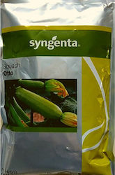 Syngenta Семена Тикваς Тиквичка Отто