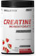 Skill Nutrition Creatine Monohydrate Micronised Pepene 500gr