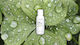 Keune Long & Strong Shampoos Reconstruction/Nourishment for Fragile, Αντι-Θραύση Hair 80ml