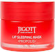 Jigott 20ml