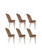 Walnut Chair Wooden Legs Set 6 Pieces Brown 45x42x50cm