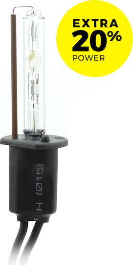 Xenon Bulb H1-5k +20% Extra Power Carguard