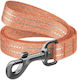 WauDog Dog Leash/Lead Strap in Orange color