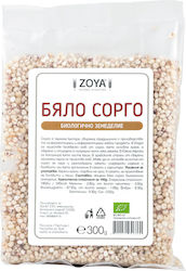 ZoyaShop Bio Семена 300гр