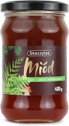 Skoczylas Μέλι Δάσους 400gr