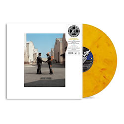Pink Floyd Wish You Were Here 50th Anniversary Lp