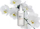 Keune Radiant Gloss Conditioner Feuchtigkeitsspendend 200ml