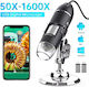 Hayve 1600x Digital Microscop USB