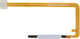 Fingerprint Sensor Flex Cable Samsung Galaxy A06 White