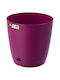 Raki Ghiveci Purple 15x13.5cm.