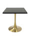 Masă Pătrată Bar Din Lemn Cu Ramă Metalică Wenge 70x70x74cm